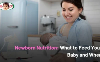 Newborn Nutrition: What to Feed Your Baby and When